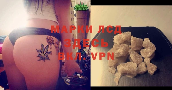 прущие грибы Арсеньев