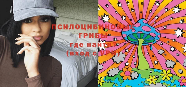 прущие грибы Арсеньев