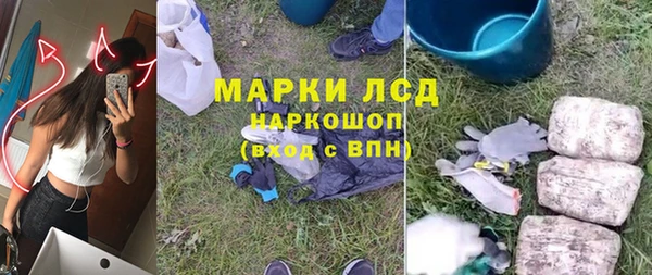 прущие грибы Арсеньев